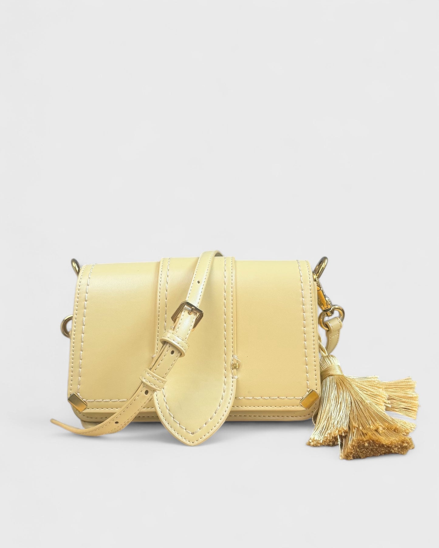 Charles & Keith Mini Bag
